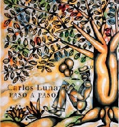 Cover of Book - Paso a paso